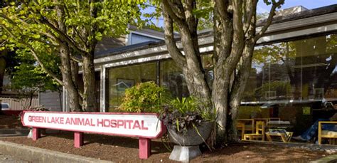 Green lake animal hospital - Green Lake Animal Hospital provides complete, caring, and comprehensive veterinary care in our beautiful Seattle clinic located on Woodlawn Ave near the neighborhoods of Ravenna, Phinney Ridge, Woodland, Fremont, View Ridge, Wallingford, Broadview, Wedgewood, Maple Leaf, and more. 